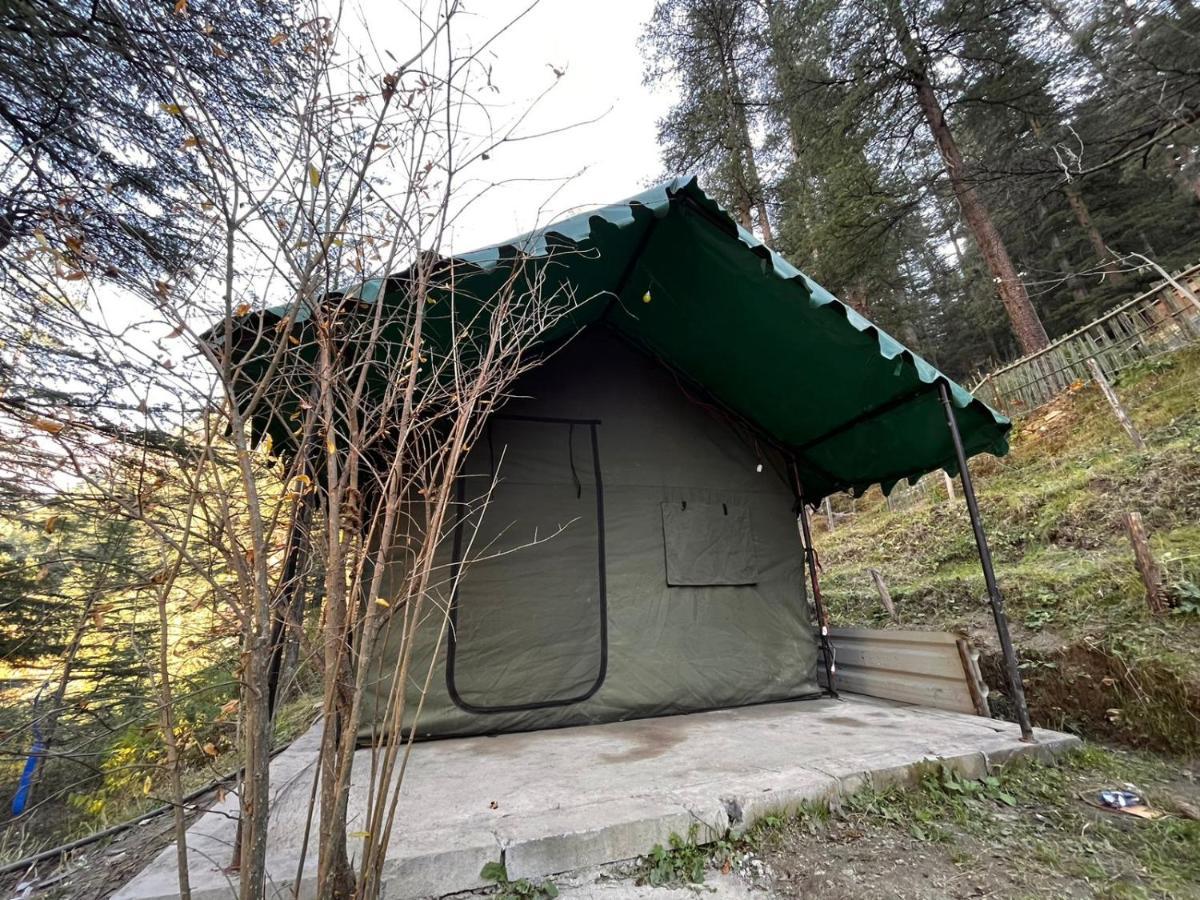 ホテル Kasol Jungle Retreat エクステリア 写真